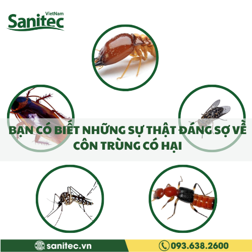 BẠN CÓ BIẾT NHỮNG SỰ THẬT ĐÁNG SỢ VỀ CÔN TRÙNG CÓ HẠI